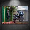 NEON board Benelli TRK 502X